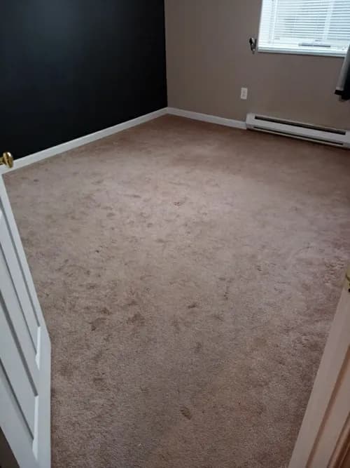 New Moon Janitorial And Floor Care Corp - Photo 2