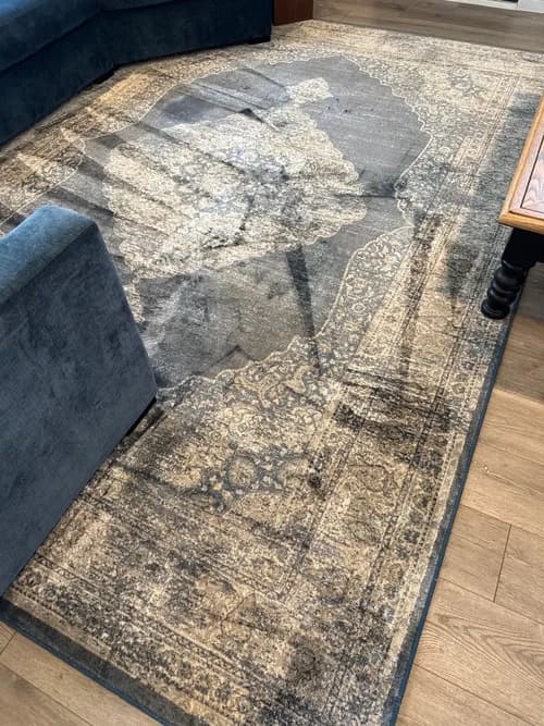 New Moon Janitorial And Floor Care Corp - Photo 4