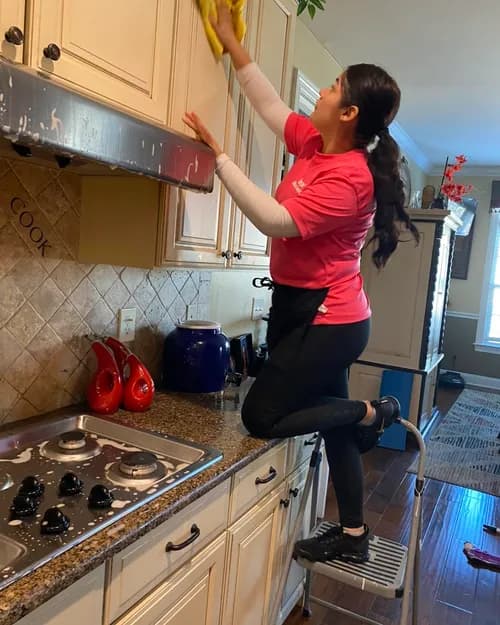 Nikis Cleaning Services - Hillsboro area