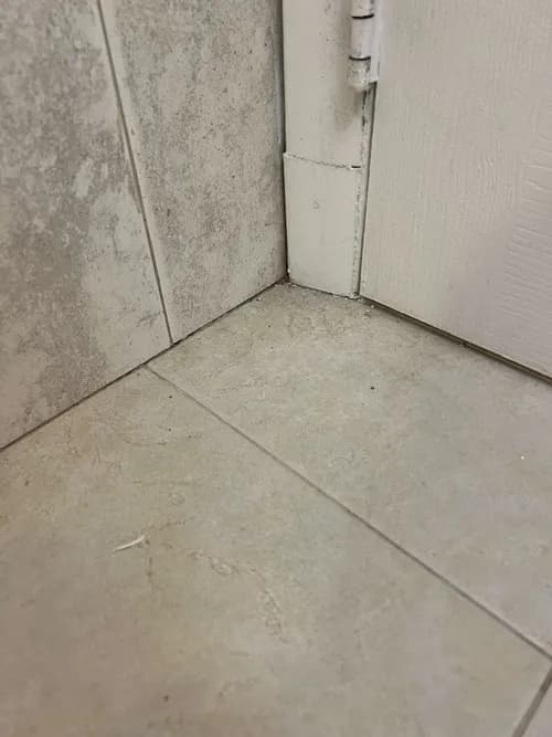 NLZ Cleaning Long Island - Photo 4