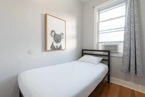 NLZ Cleaning Long Island - Photo 3