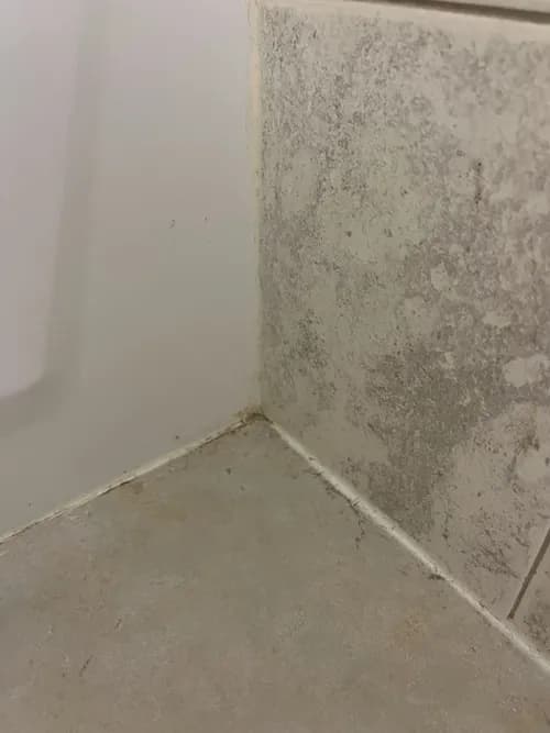 NLZ Cleaning Long Island - Photo 5