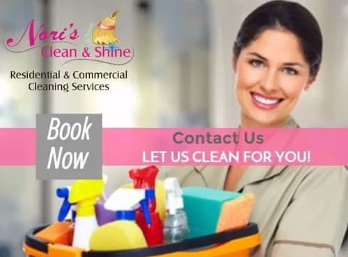 Noris Clean And Shine