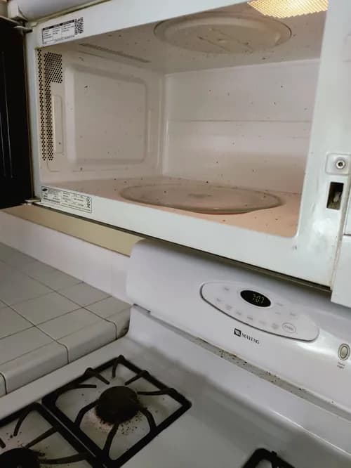 Norma's Cleaning Services - Photo 3