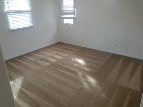 OCD Home Carpet & Tile Cleaning - Photo 2