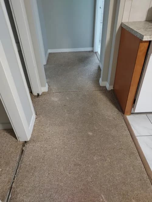 Ocean Wave Cleaning and Restoration