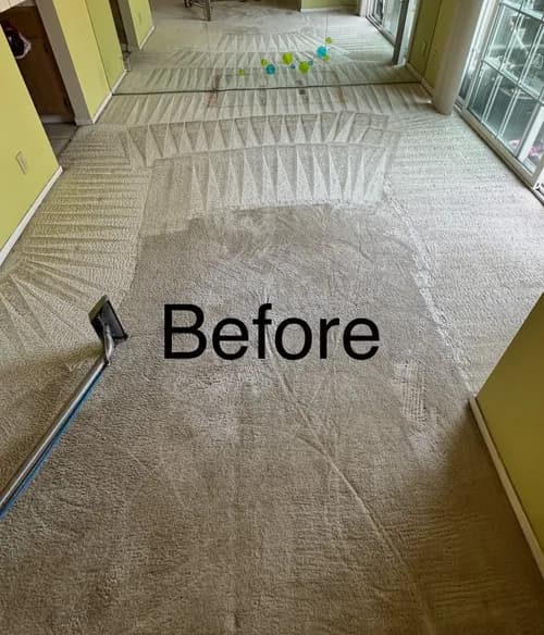 OFE Inc. For Carpet & Upholstery Cleaning - Photo 1