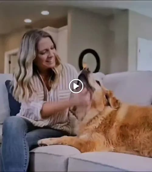 OFE Inc. For Carpet & Upholstery Cleaning - Photo 2