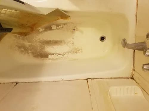 One Click Maids - Photo 3