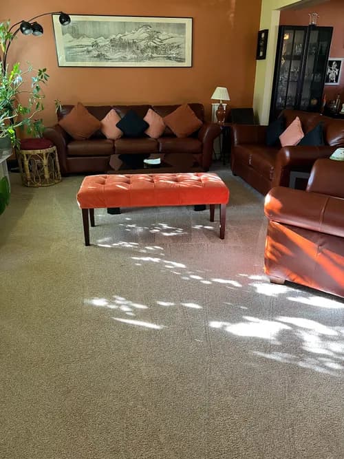 One Concept Facility Solutions | Office Cleaning Services - Photo 3