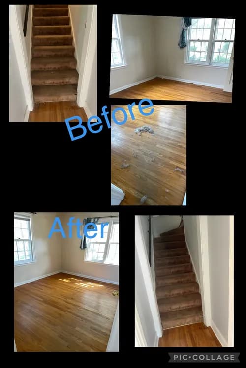 One Girl & A Broom - Photo 1