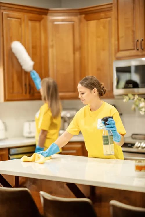 Oregon Pro Maids - Photo 2