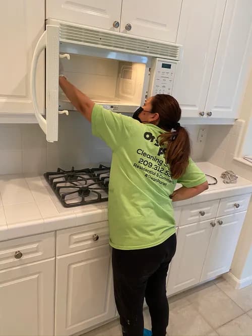 Organic Planet Cleaning Services