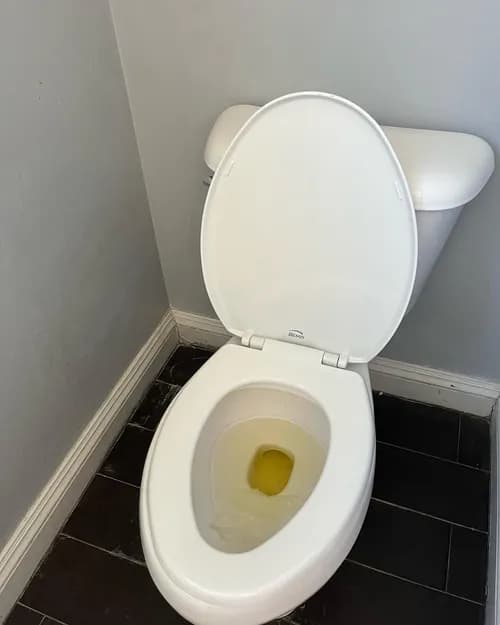 P.B. Cleaning Services - Photo 3