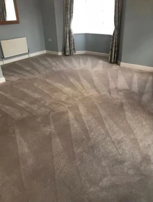 Paid 2 Maid Cleaning Service - Cleveland