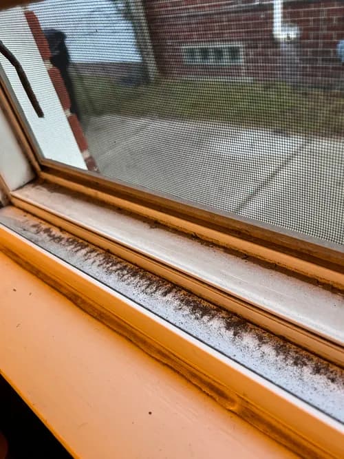 Paid 2 Maid Cleaning Service - Detroit - Photo 4