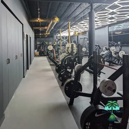 Palm Fresh Cleaning - Photo 3