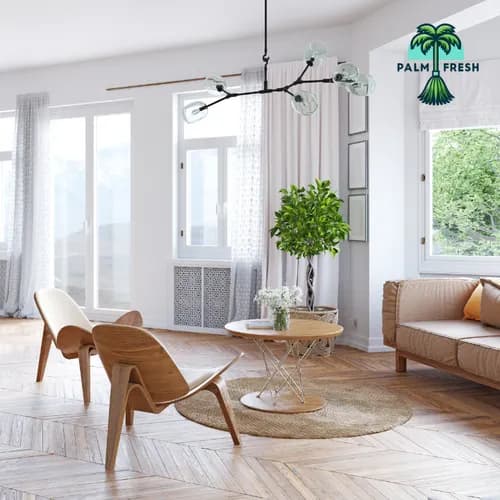 Palm Fresh Cleaning - Photo 1