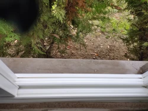 Pardini's Perfection Cleaning - Photo 2