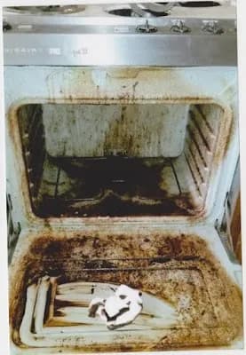 Pardini's Perfection Cleaning - Photo 4