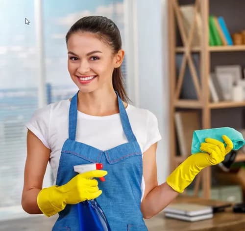 Patriot Maids Cleaning Services