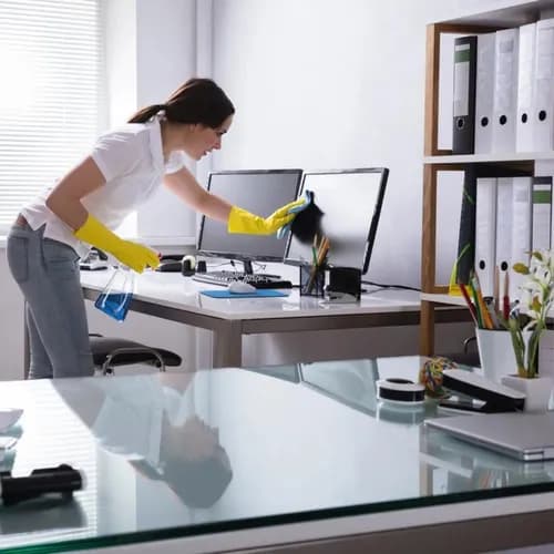 Paulina's House Cleaning LLC