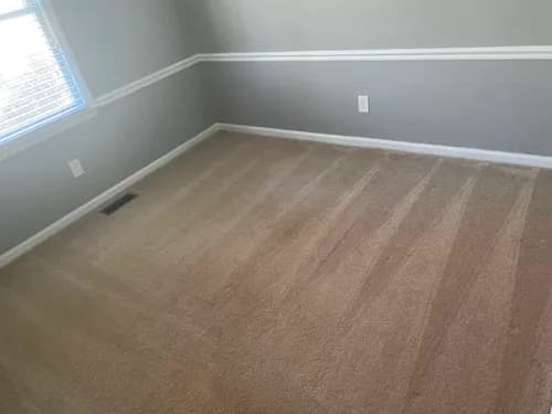 Picazo Cleaning Services Inc.