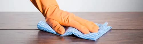 Pleasant Palace Cleaning & Organizing Service - Photo 4