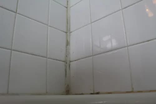 PowderPuff Maids - Photo 1