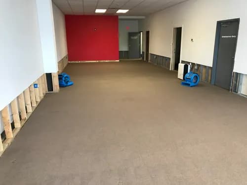 Precision Cleaning & Restoration, Inc - Photo 5