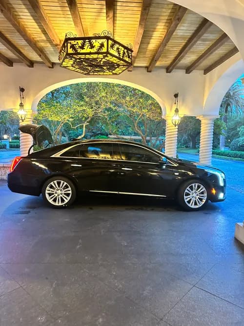 Pristine Clean Florida LLC - Photo 3