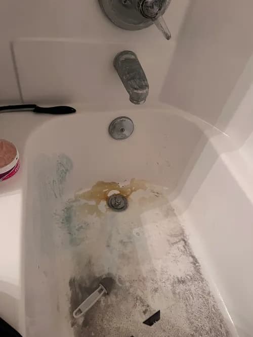 Pristine Clean Team LLC