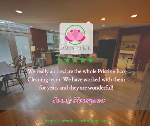 Pristine Eco Cleaning