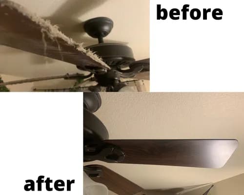 Pristine Queen Cleaning Services - Photo 1