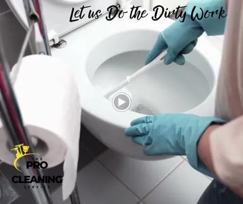 Pro Clean Maids and House Cleaning of Santa Monica - Photo 2