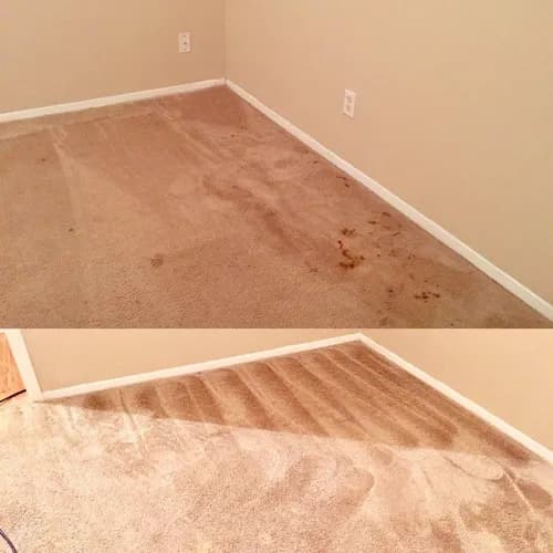 Pro Clean of Woodland Hills - Photo 4