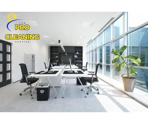 Pro Clean of Woodland Hills - Photo 1