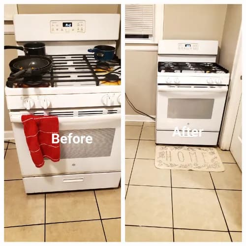 Pro Detroit Maids - Photo 1