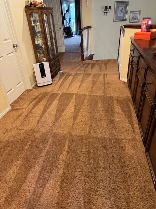 Pro Home Cleaning Co.