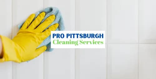 Pro Pittsburgh Cleaning Services - Photo 1