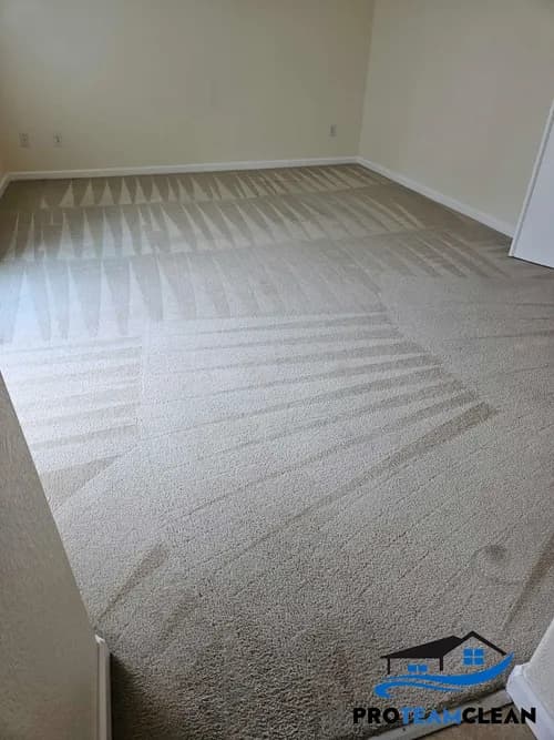 Pro Team Carpet Cleaning Sacramento - Photo 2