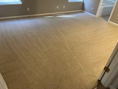 ProCare Carpet & Tile Cleaning - Photo 5