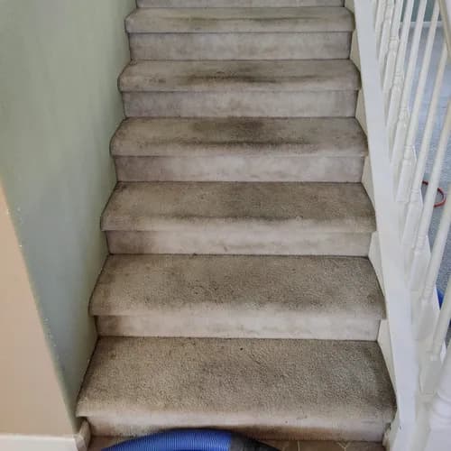 ProCare Carpet & Tile Cleaning - Photo 2