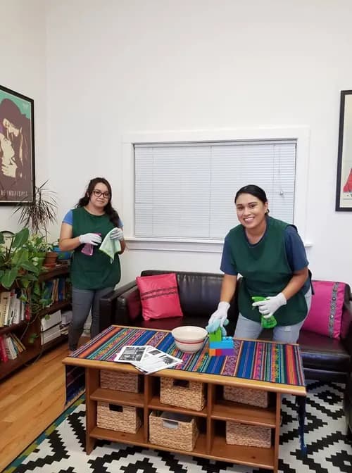 Professional Eco Cleaning LLC - Photo 1