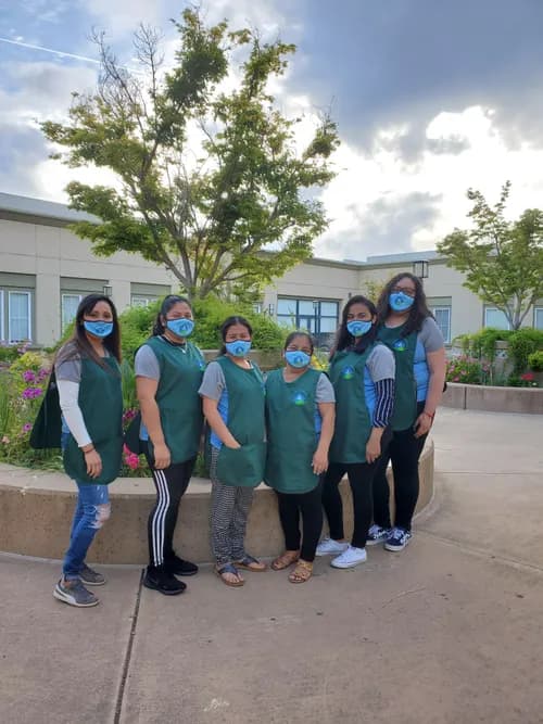 Professional Eco Cleaning LLC - Photo 4