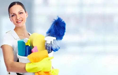 Professional Home Cleaning