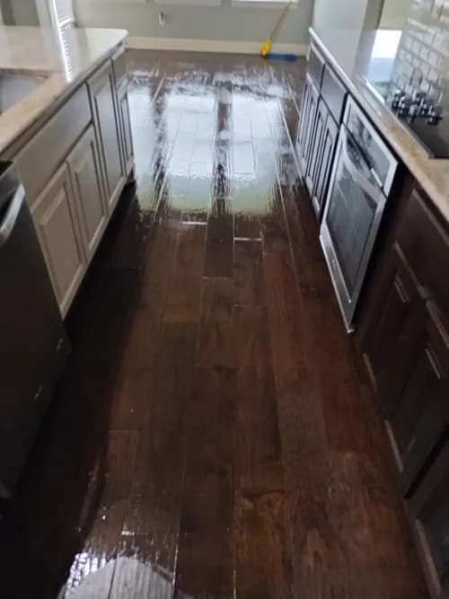 Pure Magic Maids - Photo 3