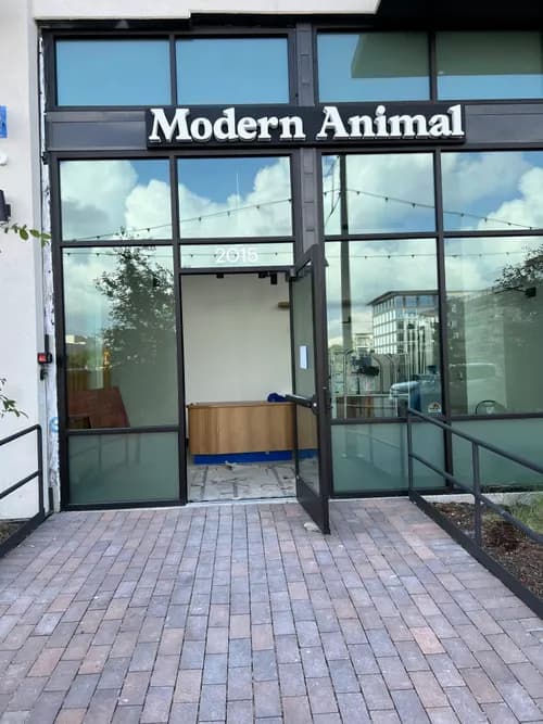 Pure Magic Maids - Photo 2