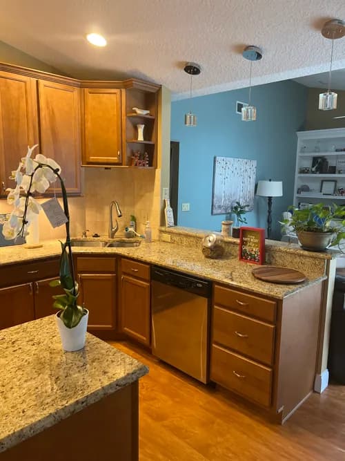 Pure Plus Cleaning - Photo 4