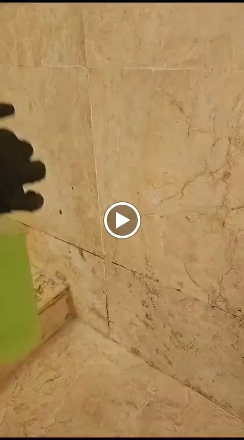 Quality Cleaning Services - Photo 3